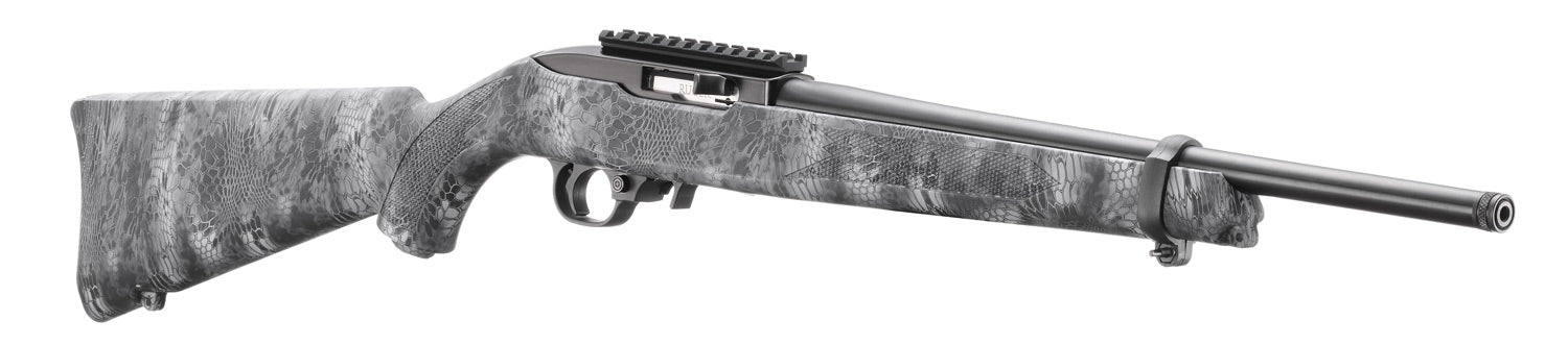 Ruger 10/22