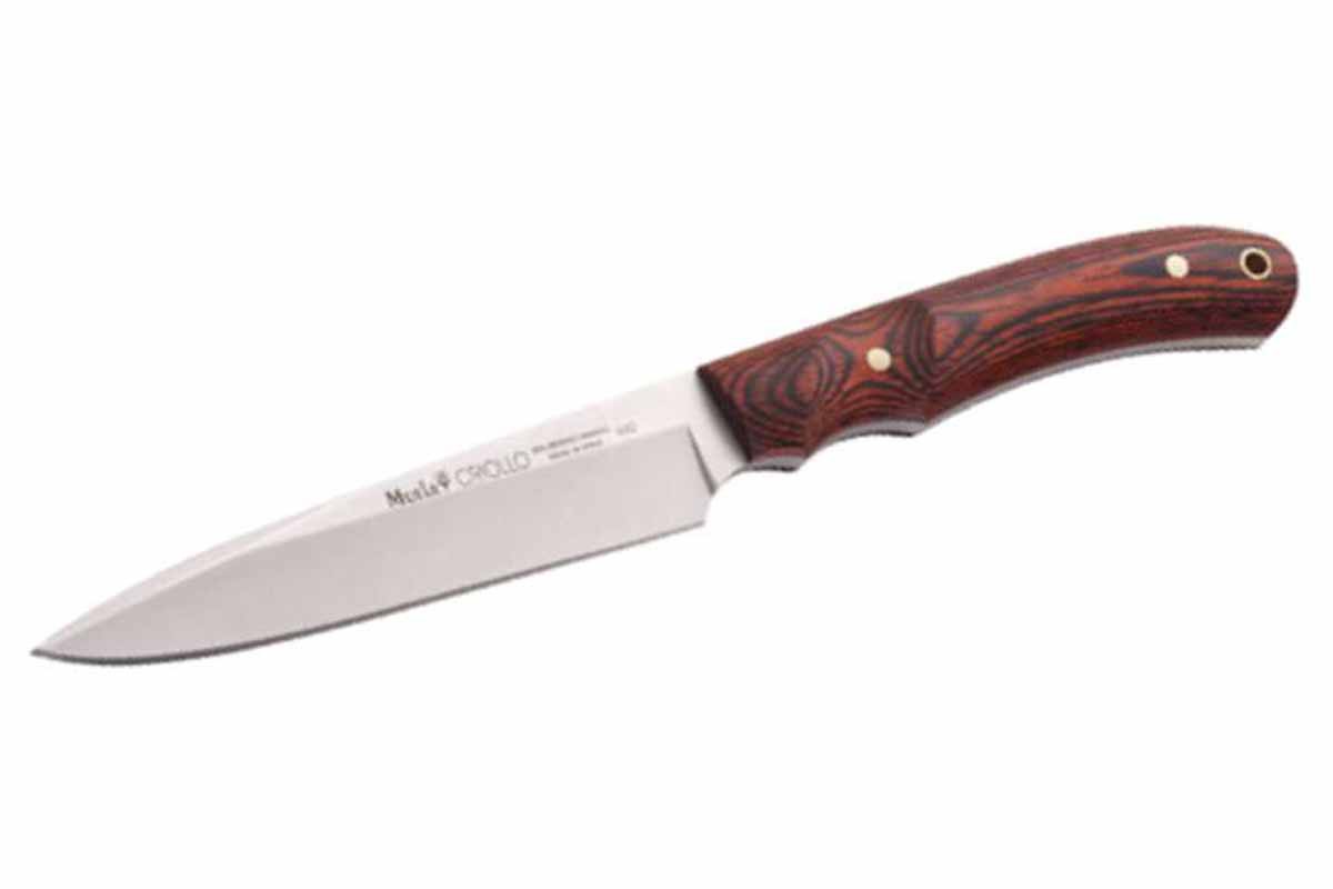 Muela criollo 14