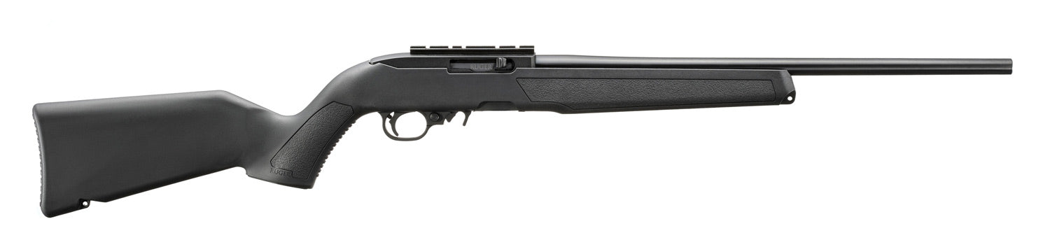 Ruger 10/22 standard RR