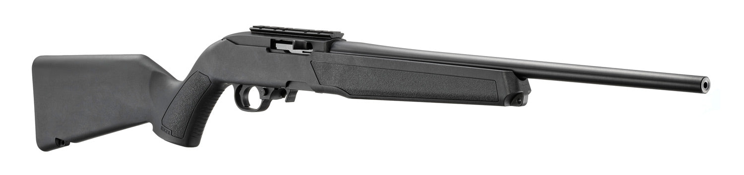 Ruger 10/22 standard RR