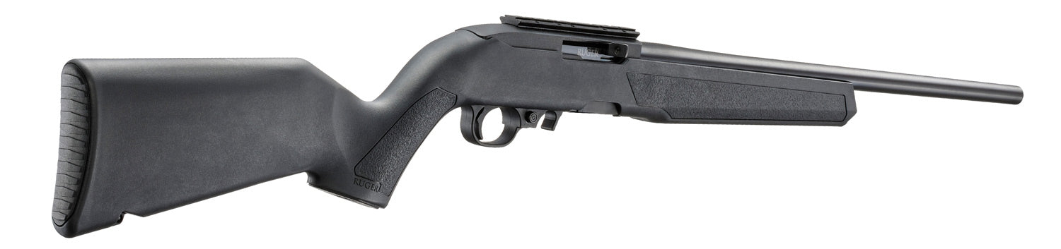 Ruger 10/22 standard RR