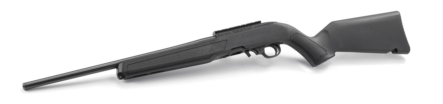 Ruger 10/22 standard RR