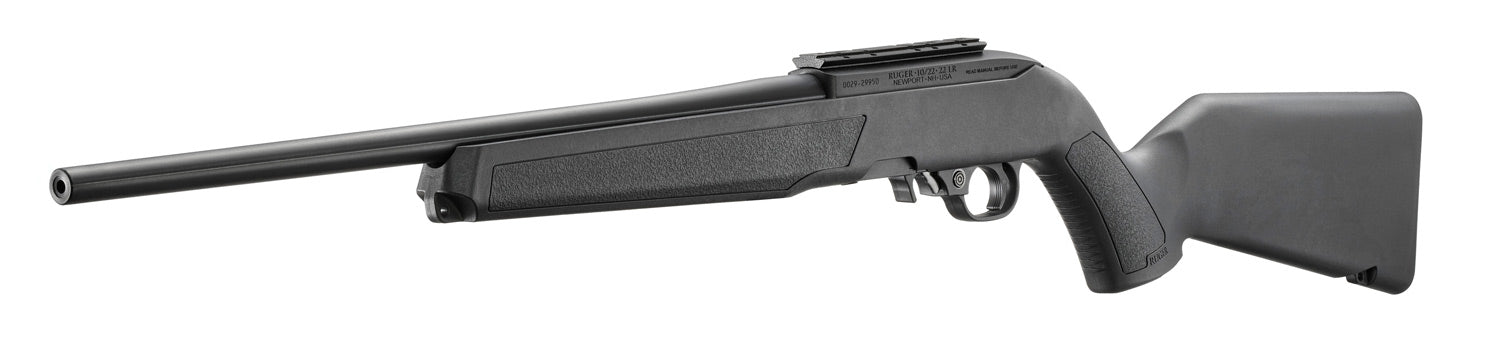 Ruger 10/22 standard RR