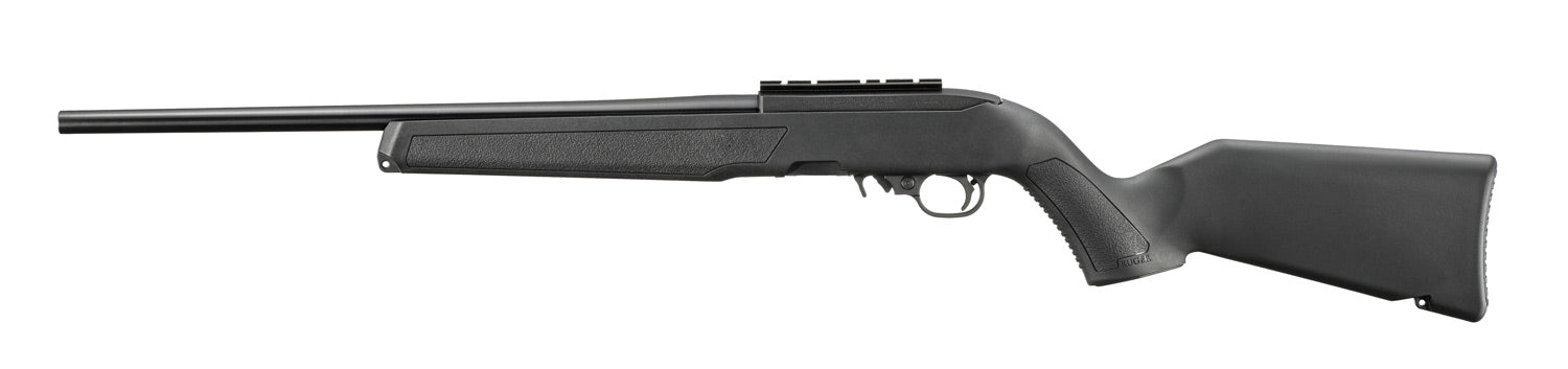 Ruger 10/22 standard RR