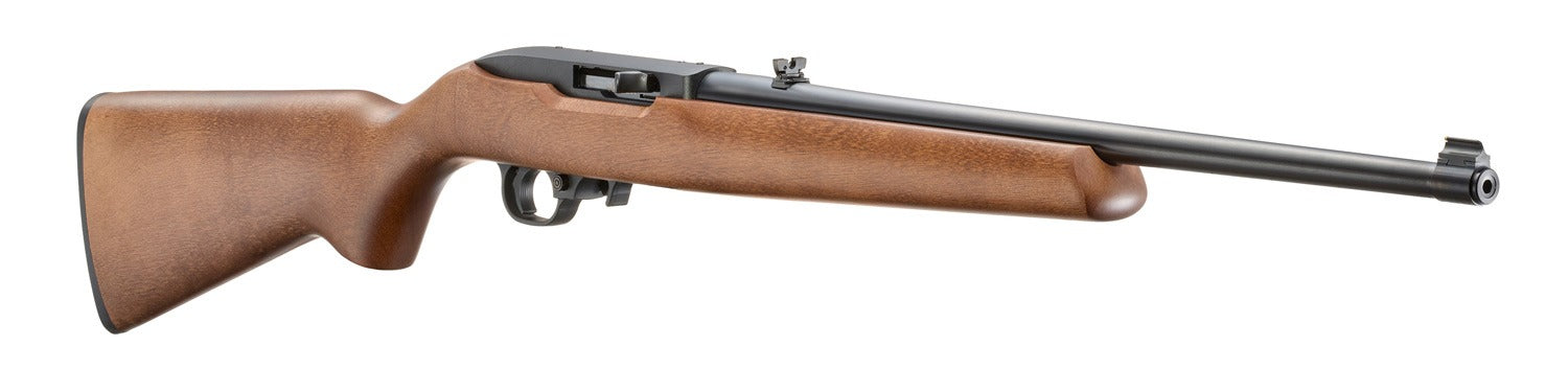 Ruger 10/22